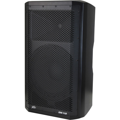 peavey dark matter dm 112